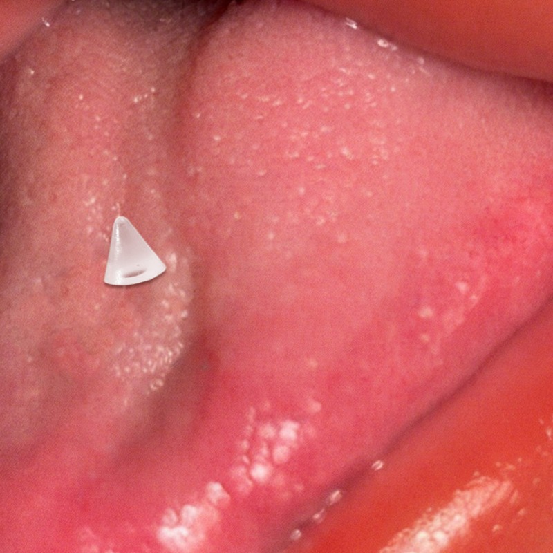 10-50Pcs Transparent Lip Studs - Men Accessories Ring 리뷰 및 가격