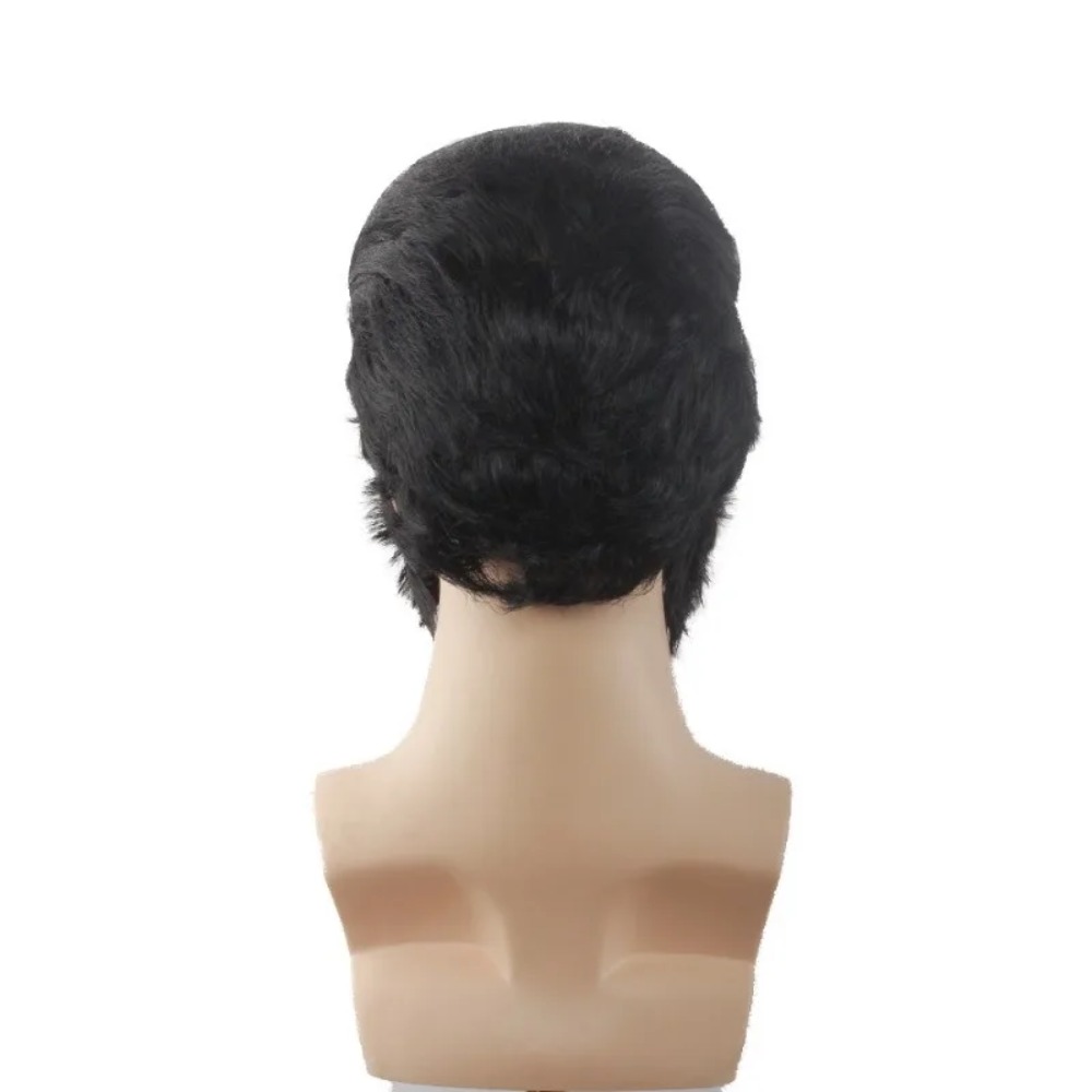 Retro Man Star Cosplay Wig Bla - Men Accessories To Wear 리뷰 및 가격