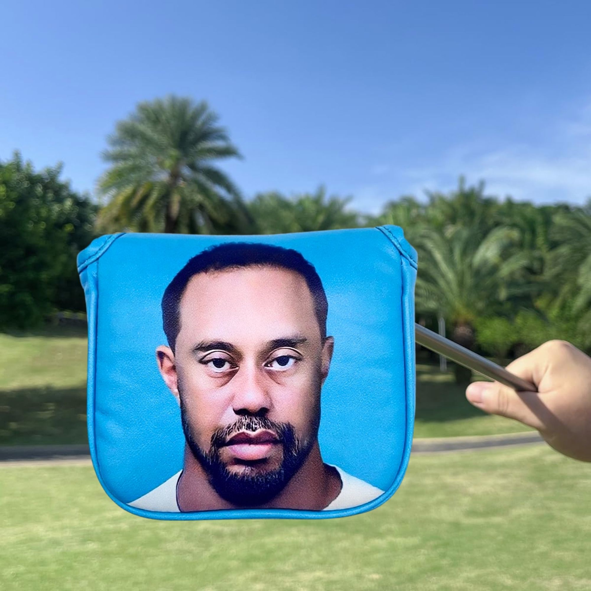 Funny Golf Mallet Putter Head  - Men Accessories For Gift 리뷰 및 가격